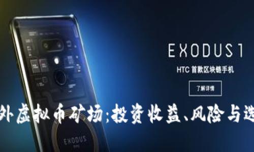 揭秘国外虚拟币矿场：投资收益、风险与选择指南