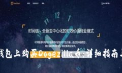 如何在TP钱包上购买Dogezilla币：详细指南与实用技