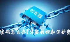 tP钱包只记得密码怎么办？详解找回和保护资产的