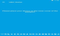 为何TP钱包交易成功却未到账的原因解析及解决方
