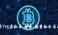全面解析TYC虚拟币：趋势、投资机会与风险评估