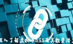 深入了解虚拟币BGS及其投资潜力