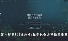 : 深入解析FLS虚拟币：投资机会与市场前景分析