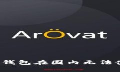 如何解决TP钱包在国内无法