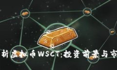 深入解析虚拟币WSCT：投资前景与市场动态