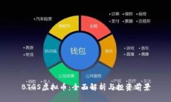 BTGS虚拟币：全面解析与投资前景