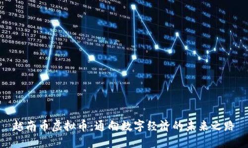 越南币虚拟币：通向数字经济的未来之路