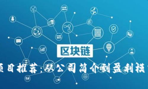 虚拟币赚钱项目推荐：从公司简介到盈利模式的全面解析