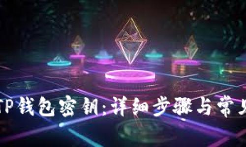 如何找回TP钱包密钥：详细步骤与常见问题解析