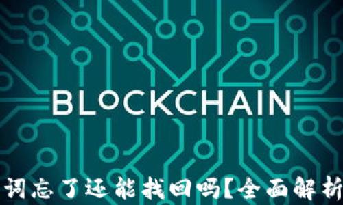 
TP钱包助记词忘了还能找回吗？全面解析与解决方案