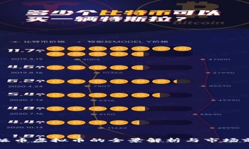 闪烁币虚拟币的全景解析与市场前景